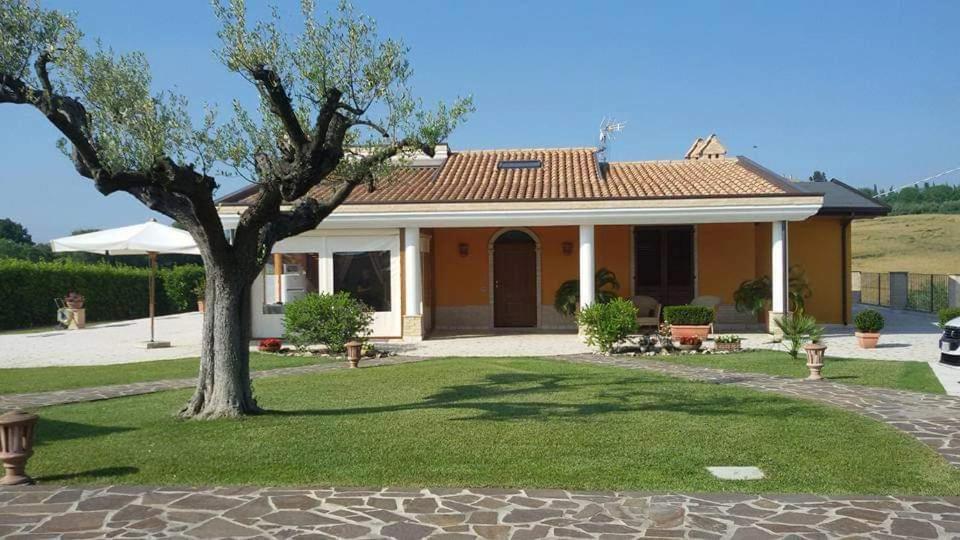 B&B Agrifoglio SantʼElpidio a Mare エクステリア 写真