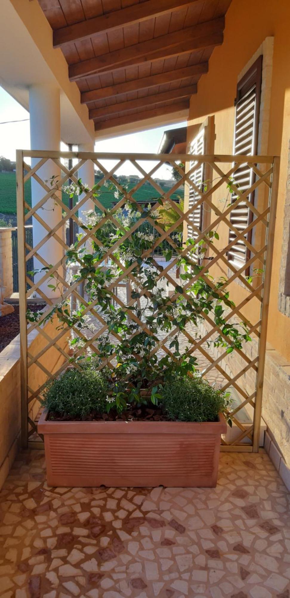 B&B Agrifoglio SantʼElpidio a Mare エクステリア 写真